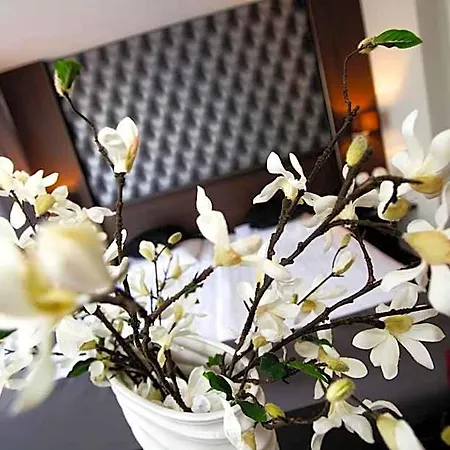 호텔 Hotel Medemblik 메뎀브릭